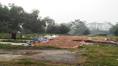 Rùng mình quy trình biến chanh, quất thối thành mứt Tết