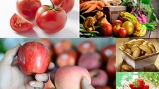 15 loại rau củ quả "ngậm" hoá chất nhiều nhất ngoài chợ