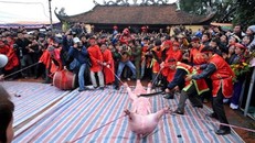 Bộ Văn hóa Thể Thao và Du lịch cấm tổ chức lễ hội phản cảm