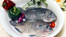 Những "tác dụng phụ" của cá rô phi bạn phải biết càng sớm càng tốt