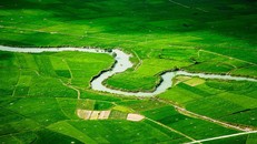 Thiên nhiên Việt Nam đa dạng qua ống kính nhiếp ảnh gia Pháp