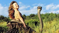 Bí ẩn về sự tồn tại của người rừng