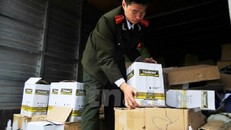 Bắt khẩn cấp phó giám đốc buôn hàng giả