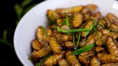 Những lỗi 'tày đình' cần tránh khi ăn nhộng tằm ai cũng phải biết