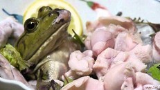 9 loài vật được khuyến cáo nên ‘ăn tươi nuốt sống’