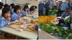 Mỗi ngày hàng ngàn kg rau bẩn đưa lên bàn ăn học sinh Hà Nội