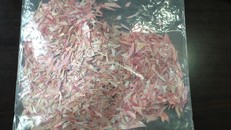 Cha cắt nát gần 500 triệu đồng, con tỉ mẩn dán lại trong 3 tháng