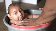 Trường hợp bệnh đầu nhỏ do muỗi đầu tiên ở Mỹ Latinh