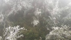 Miền Bắc có khả năng xảy ra băng giá và mưa tuyết