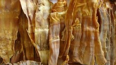 Cách khử độc tố từ lưu huỳnh trong măng khô để cả nhà ăn tết an toàn