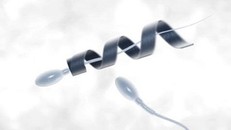 Lắp 'mô tơ' để giúp tinh trùng yếu chạy nhanh hơn