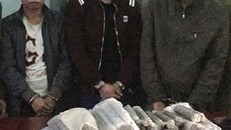 Mật phục rừng sâu, ăn hoa chuối thay cơm bắt ‘vàng tặc’