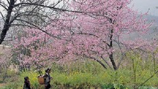 Hôm nay không khí lạnh cực mạnh tràn về, Miền Bắc sẽ có mưa tuyết