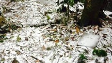 Sau Sa Pa, Mẫu Sơn, Hà Nội cũng có tuyết rơi ?