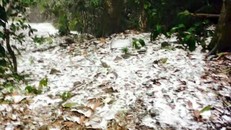 Hà Nội đã từng có tuyết rơi