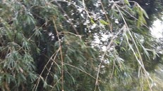 Thanh Hóa xuất hiện tuyết rơi, nước đóng băng