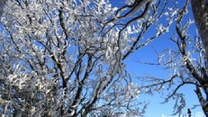 Thời tiết 27/1: Rét hại, băng tuyết ở miền Bắc chuẩn bị kết thúc