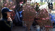 Diễn biến thời tiết Tết Nguyên đán 2016 và 6 tháng đầu năm mới