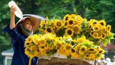 Không khí lạnh suy yếu, thời tiết miền Bắc chuyển biến tích cực