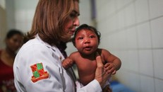Những bức ảnh khiến bạn ám ảnh về dịch bệnh 'Zika đầu nhỏ'