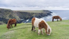 Có một nơi trên trái đất vẫn chưa được đón… Giáng sinh