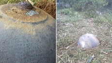 Chủ tịch HĐQT đại học FPT muốn mua 'vật thể lạ' rơi ở Tuyên Quang