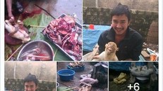 Ảnh giết khỉ trên Facebook: Hé lộ đường dây mua bán động vật 'khủng'