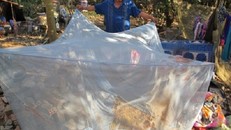 Hoảng hốt phát hiện vợ bị giết trên giường ngủ