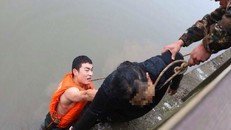 Cắt ‘của quý’ của chồng rồi nhảy sông tự tử