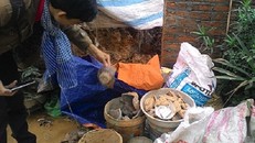 2 tháng đào hầm vì giấc mơ lạ: Tìm thấy hài cốt và kho báu?