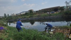 Đi vớt bèo, kinh hoàng phát hiện thi thể không đầu