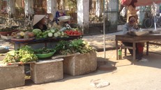 Giá rau xanh dần ổn định trở lại sau Tết