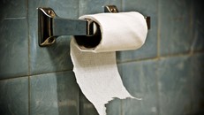 Những câu chuyện thú vị về giấy vệ sinh suốt 600 năm qua