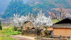 Những điểm du lịch hấp dẫn nhất Tây Bắc trong mùa xuân