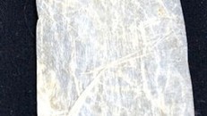 Bao cao su 200 tuổi làm từ ruột cừu được bán với giá 'khủng'