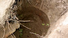 Cụ bà sống sót 9 ngày dưới giếng nhờ ăn vỏ cây, uống nước tiểu