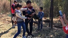 Bị du khách Trung Quốc bắt chụp hình, 2 con công sốc tới chết