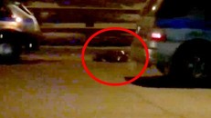 Đứng tim người phụ nữ đột nhiên sống dậy sau 1 giờ tử vong