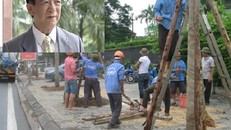 'Người ta sẽ cười cho nếu ta đi nước ngoài học trồng cây'