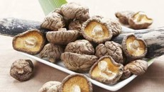 Những công dụng kì diệu không nên bỏ qua của nấm hương 