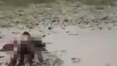 Cặp đôi thản nhiên ‘mây mưa’ trên bãi biển gây sốc