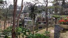 Đình chỉ việc xây dựng trái phép resort ở Vườn Quốc gia Ba Vì