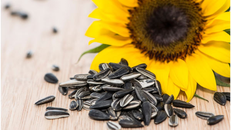 6 loại hạt ăn Tết vừa ngon vừa tốt cho sức khoẻ