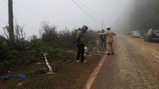 Xe Phó Bí thư huyện Phong Thổ, Lai Châu lao xuống vực sâu 100m
