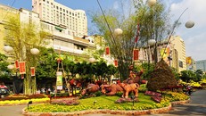 Đường hoa Nguyễn Huệ ngập tràn sắc xuân ngày khai hội