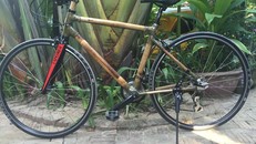 Xe đạp tre Việt: Hàng hiệu 100 triệu của tay chơi EU