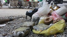 Bà nội trợ dè dặt sắm Tết Bính Thân