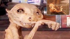 Xác ướp quái thú bí ẩn được tìm thấy ở Thổ Nhĩ Kỳ