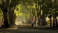 Dự báo thời tiết hôm nay (1/3): Trời nắng đẹp trên cả nước