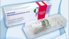 Tháng 4, VN có thêm 160.000 liều vaccine phòng viêm não mô cầu